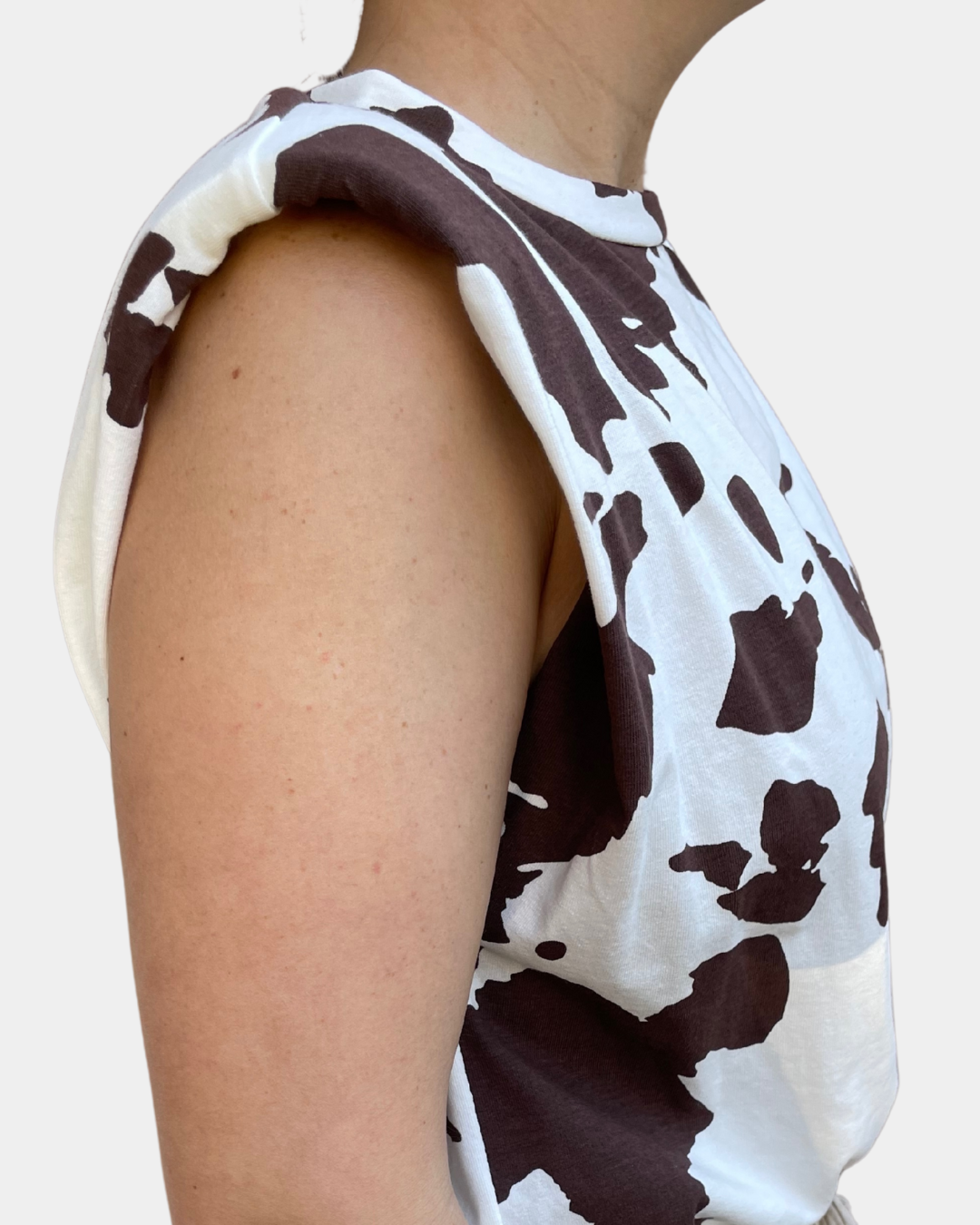 Canotta cow