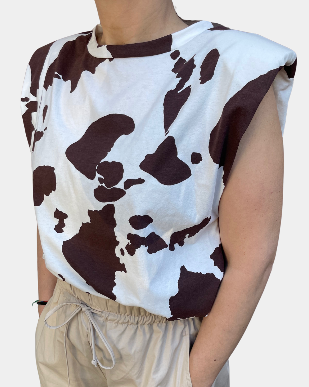 Canotta cow