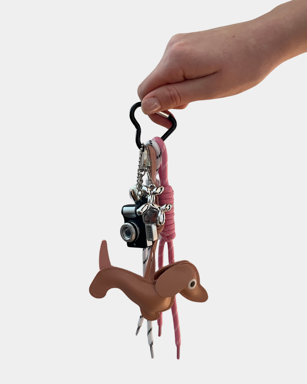 Charms dog