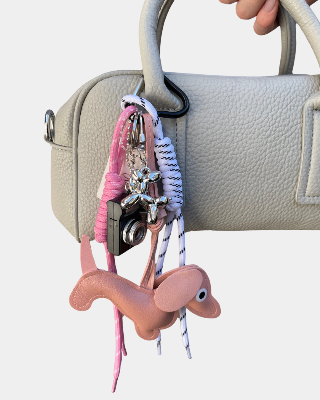 Charms dog