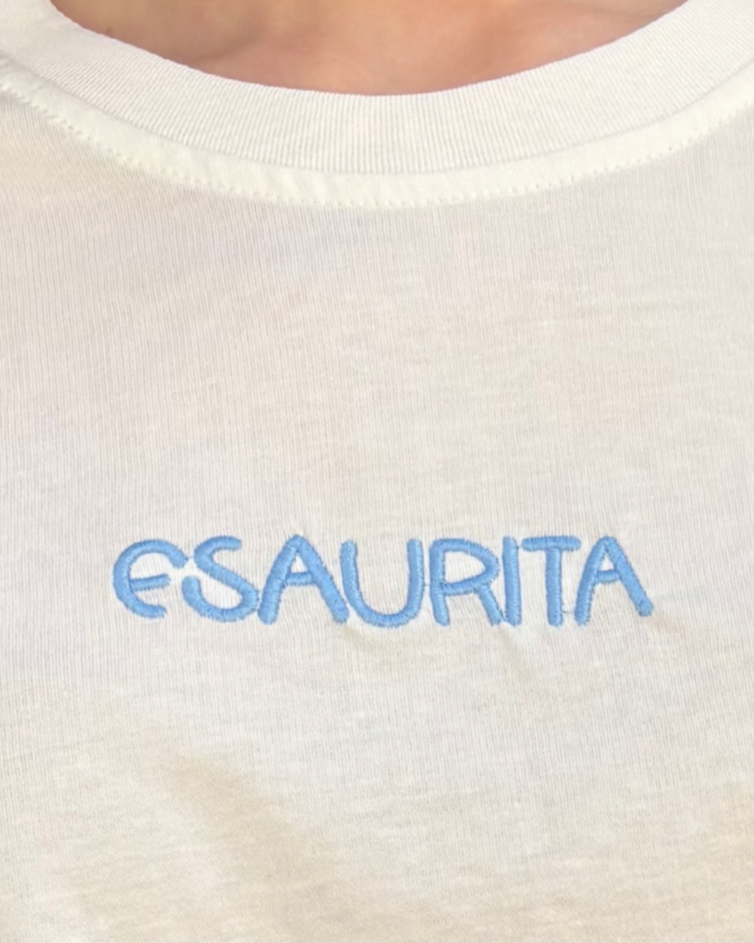 T-shirt esaurita