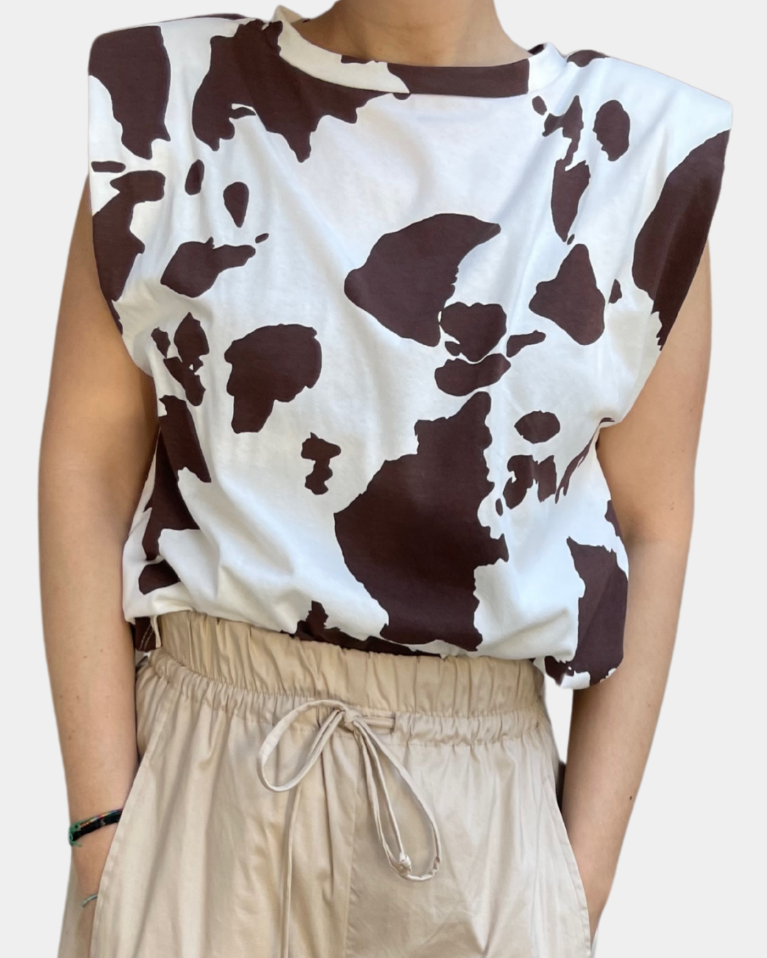 Canotta cow